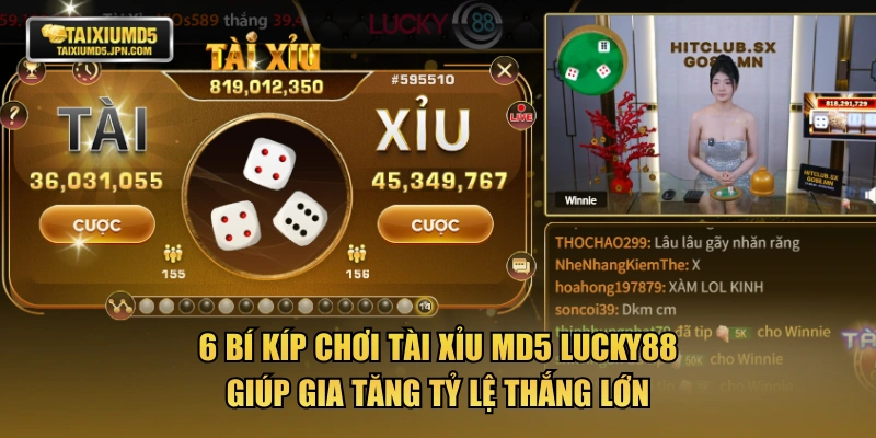 6 bí kíp chơi tài xỉu MD5 LUCKY88 giúp gia tăng tỷ lệ thắng lớn