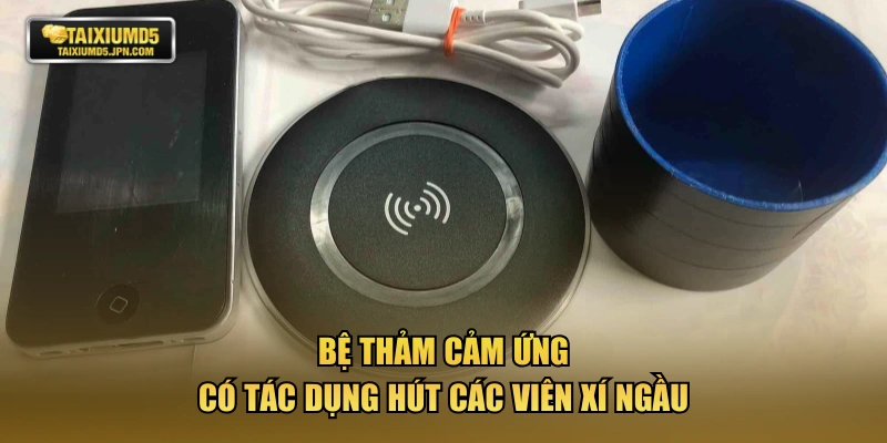 Bệ thảm cảm ứng có tác dụng hút các viên xí ngầu