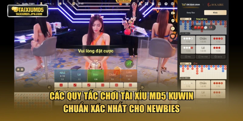 Các quy tắc chơi tài xỉu MD5 KUWIN chuẩn xác nhất cho newbies