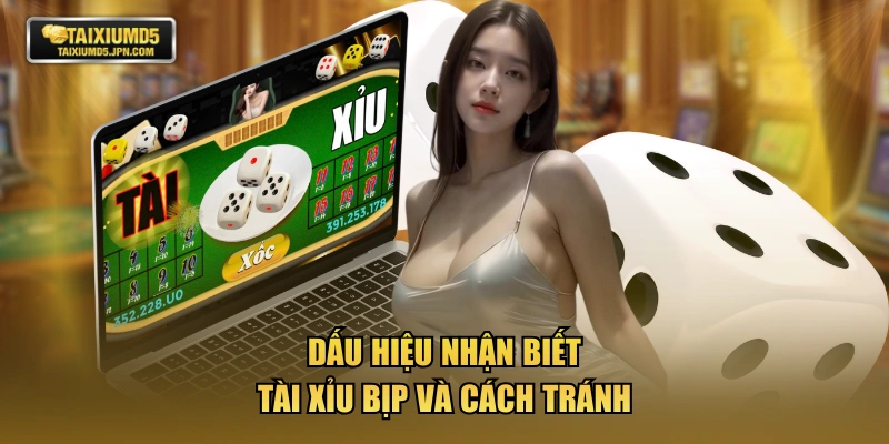 Dấu hiệu nhận biết tài xỉu bịp và cách tránh