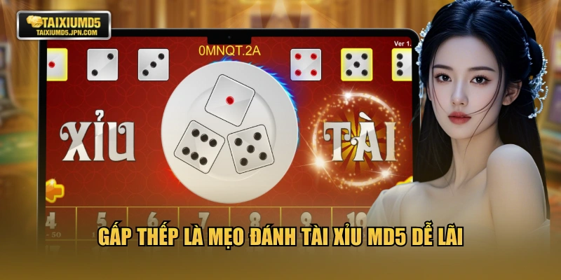 Gấp thếp là mẹo đánh tài xỉu MD5 dễ lãi
