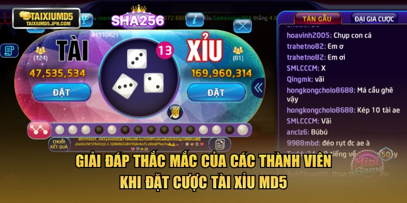 Giải đáp thắc mắc của các thành viên khi đặt cược tài xỉu MD5