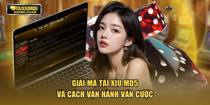Giải mã tài xỉu MD5 và cách vận hành ván cược