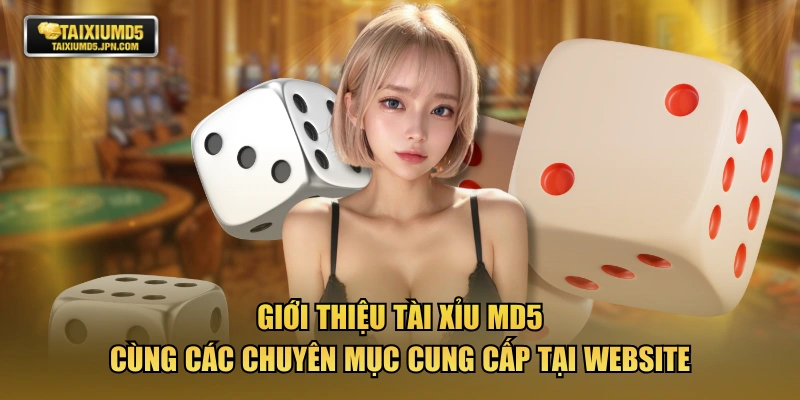 Giới thiệu Tài Xỉu MD5 cùng các chuyên mục cung cấp tại website