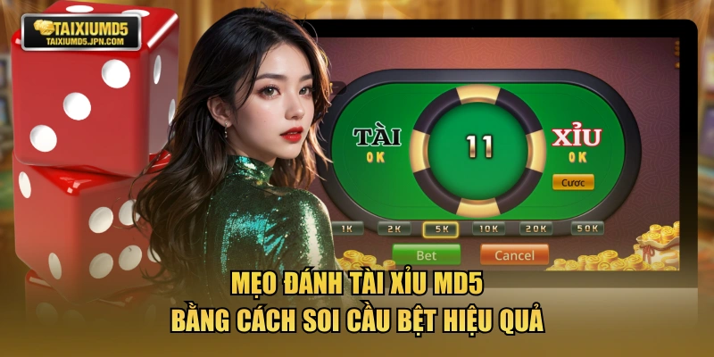 Mẹo đánh tài xỉu MD5 bằng cách soi cầu bệt hiệu quả