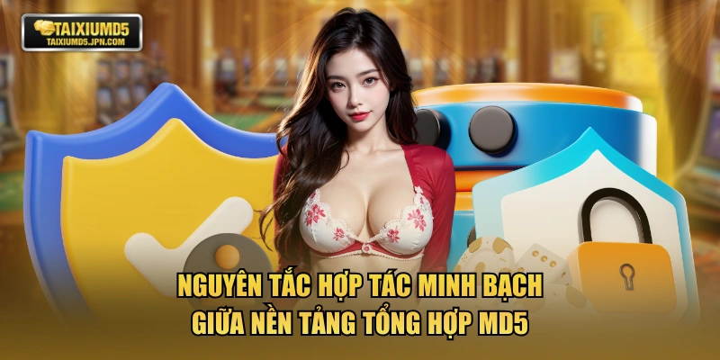 Nguyên tắc hợp tác minh bạch giữa nền tảng tổng hợp MD5