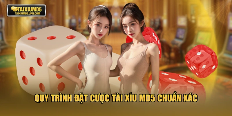 Quy trình đặt cược tài xỉu MD5 chuẩn xác