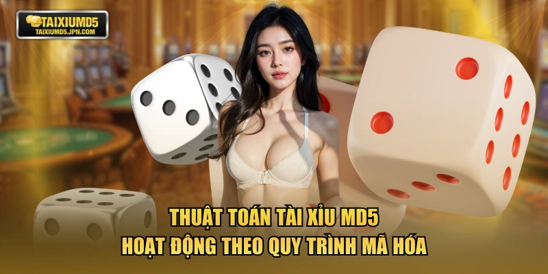 Thuật toán tài xỉu MD5 hoạt động theo quy trình mã hóa